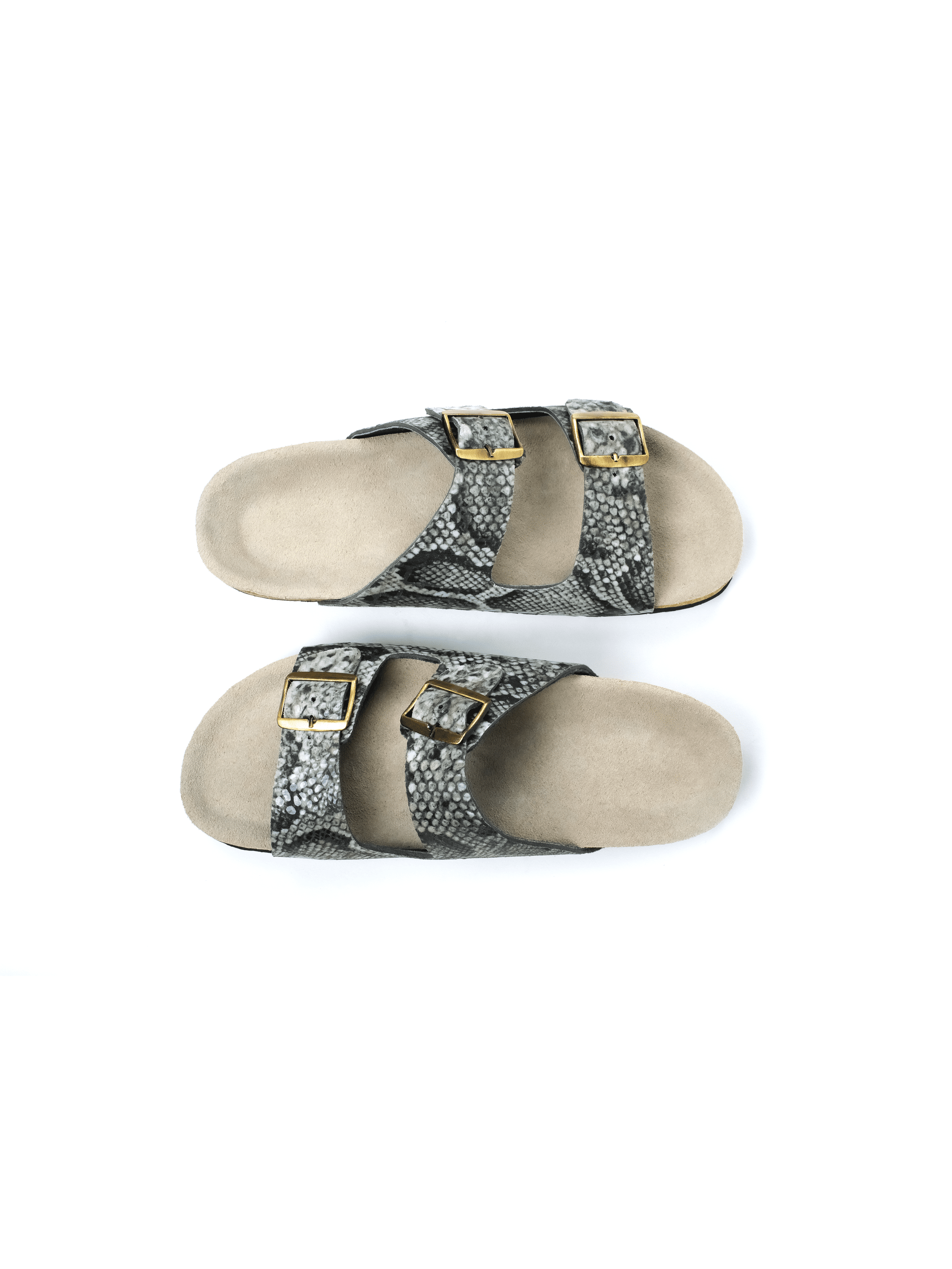Serpant Slide